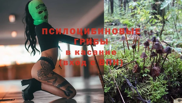 ALPHA-PVP Алексеевка