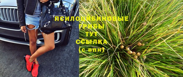 ALPHA-PVP Алексеевка