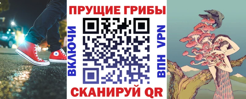 darknet телеграм  Чайковский  Псилоцибиновые грибы Psilocybe 